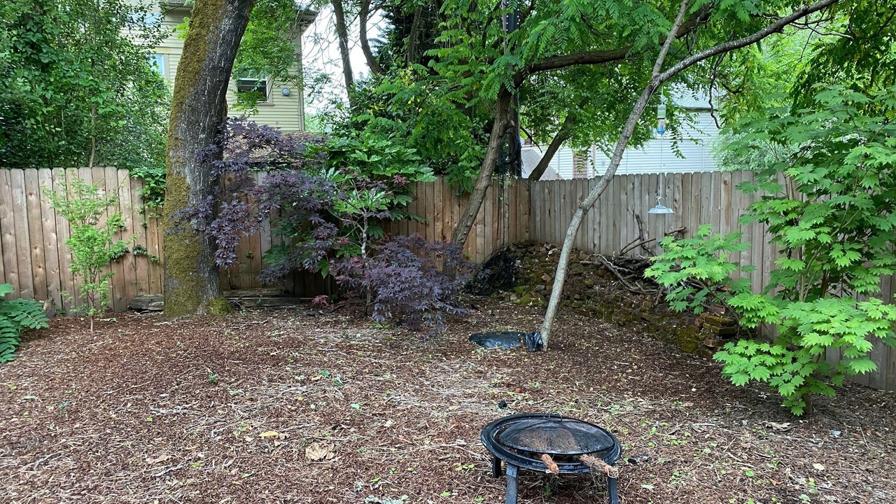 Photo of Outdoor in Belmont