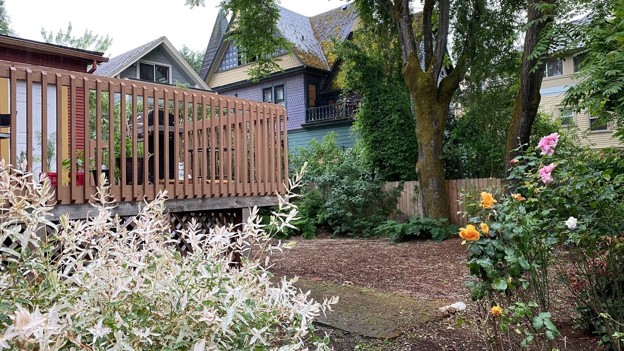 Photo of Outdoor in Belmont