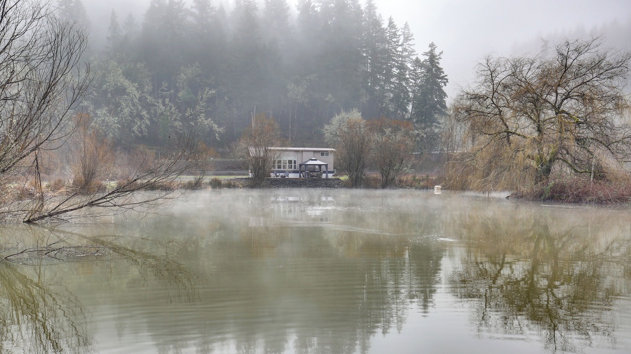 Photo of Outdoor in Oakland