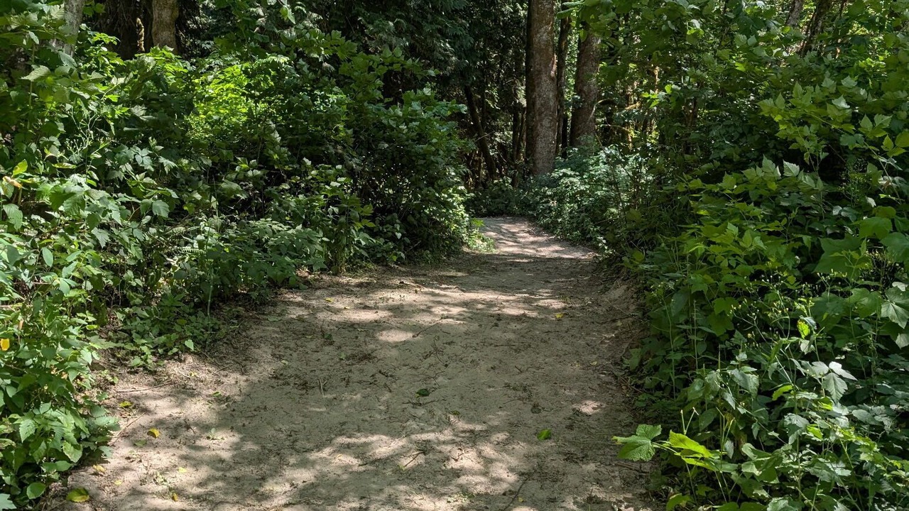Photo of Others in Marblemount