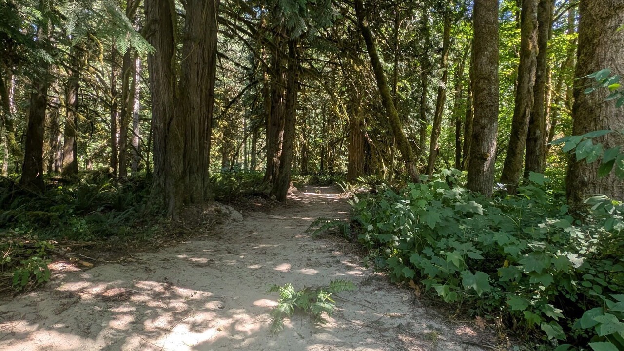 Photo of Others in Marblemount