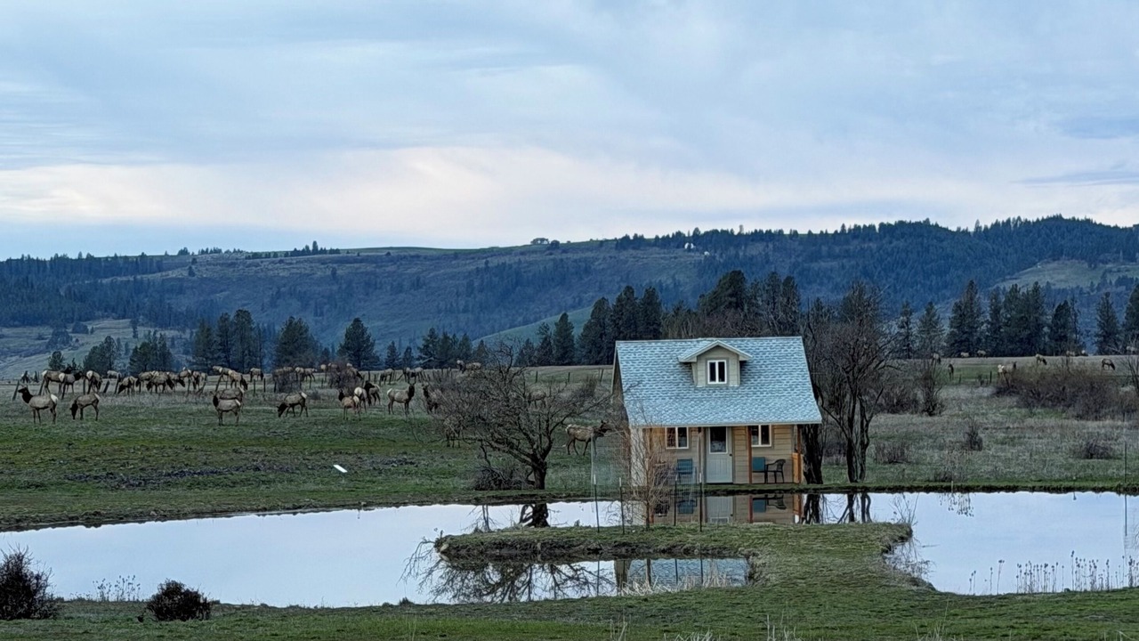 Photo of Outdoor in Stites