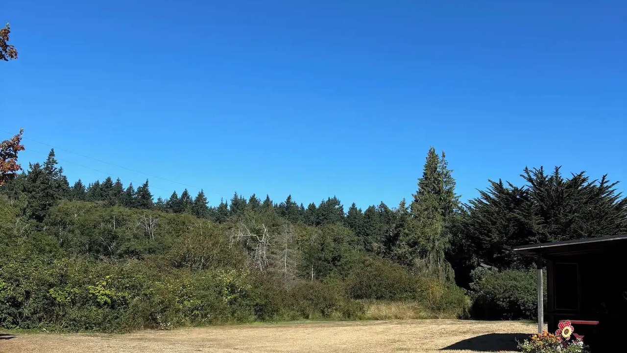 Photo of Others in Hansville