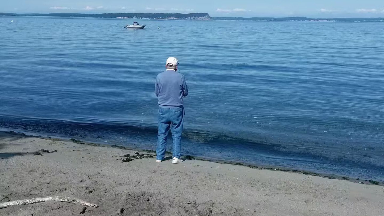 Photo of Others in Hansville