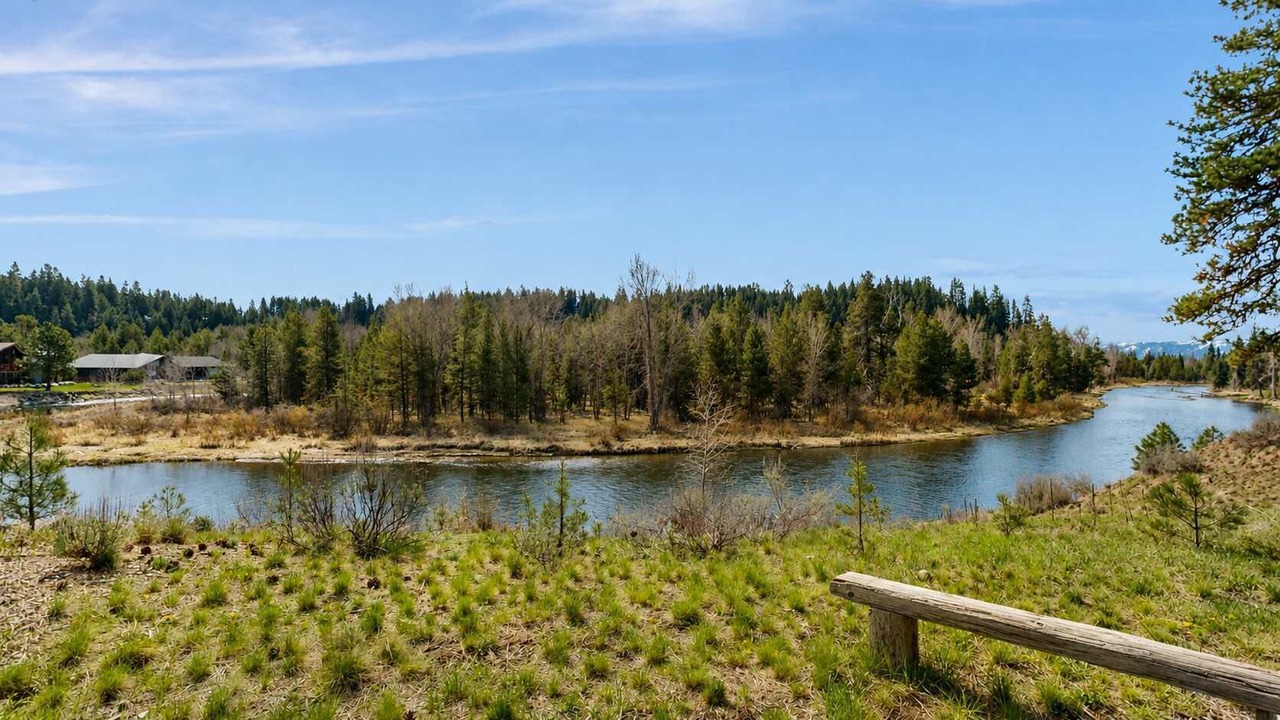 Photo of Others in McCall