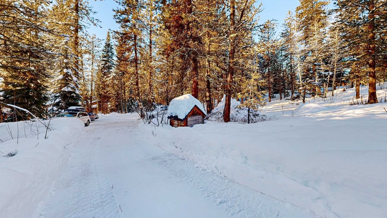 Photo of Others in McCall