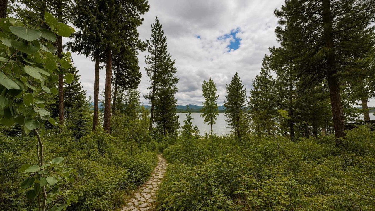 Photo of Outdoor in McCall