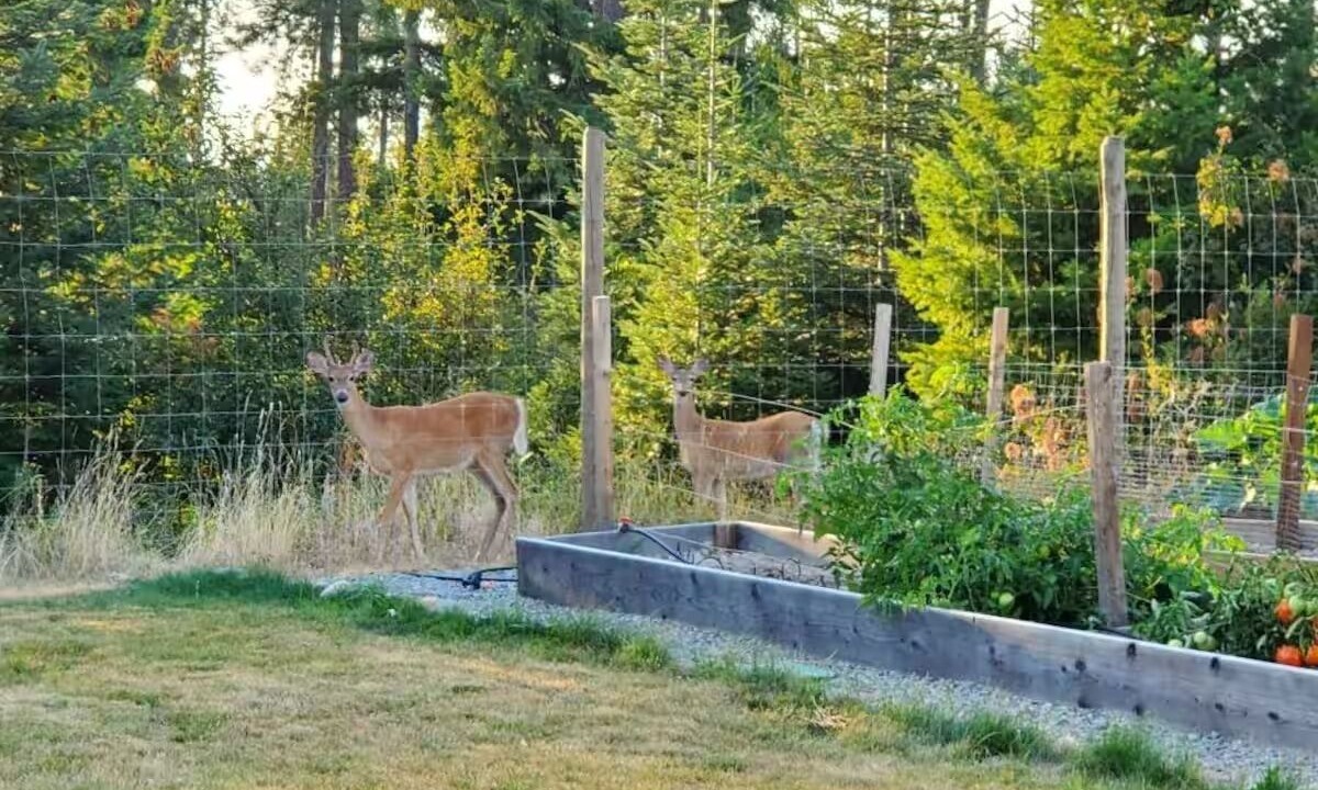 Photo of Others in Bonners Ferry