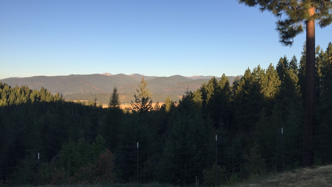 Photo of Bedroom in Bonners Ferry