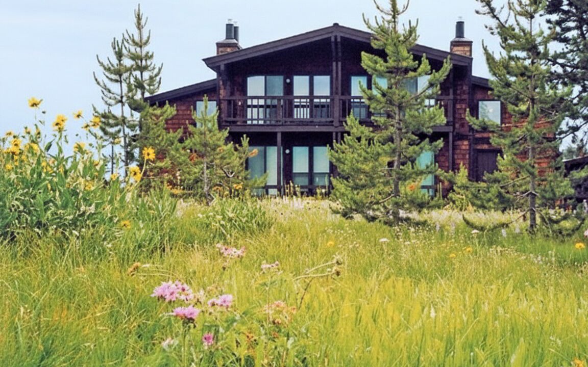 Photo of Outdoor in Island Park