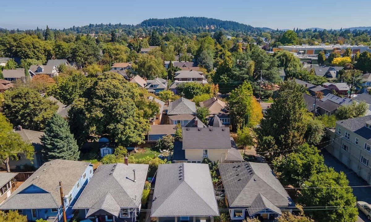 Photo of Outdoor in Belmont