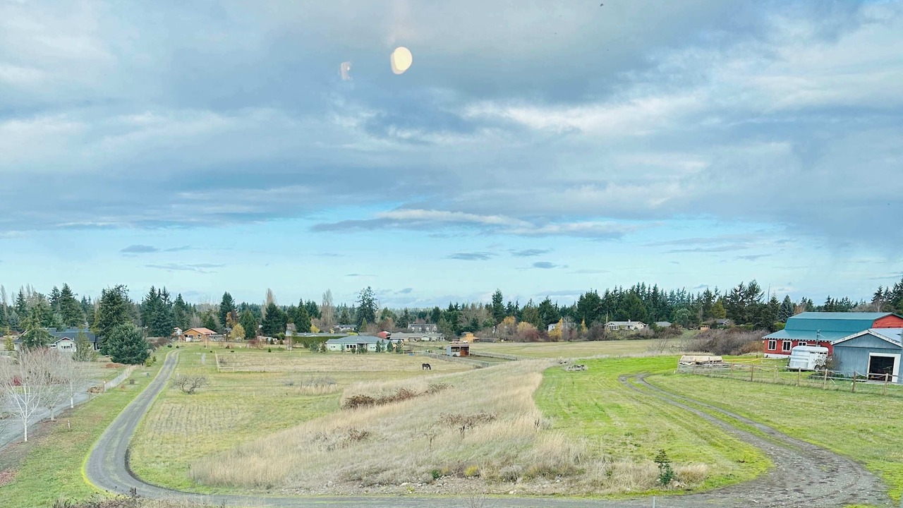 Photo of Others in Sequim