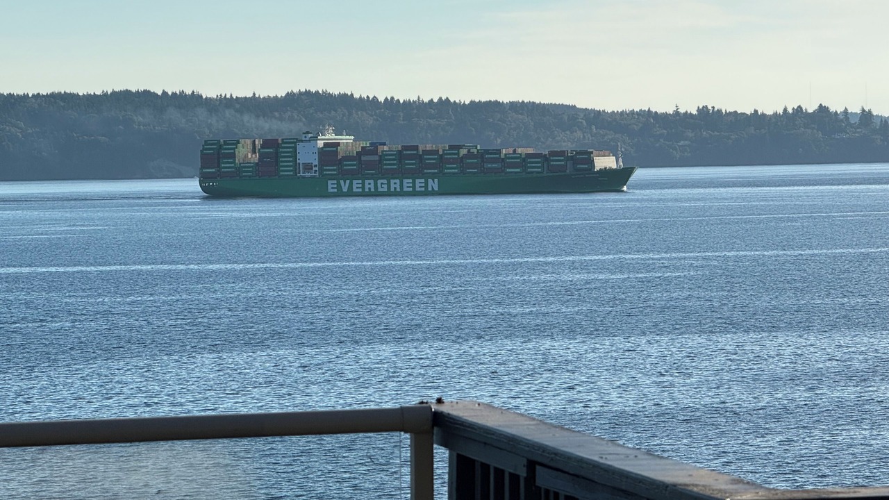 Photo of Others in Three Tree Point