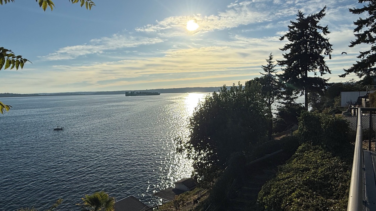 Photo of Others in Three Tree Point