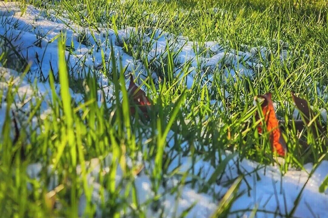 Photo of Outdoor in Sedro-Woolley