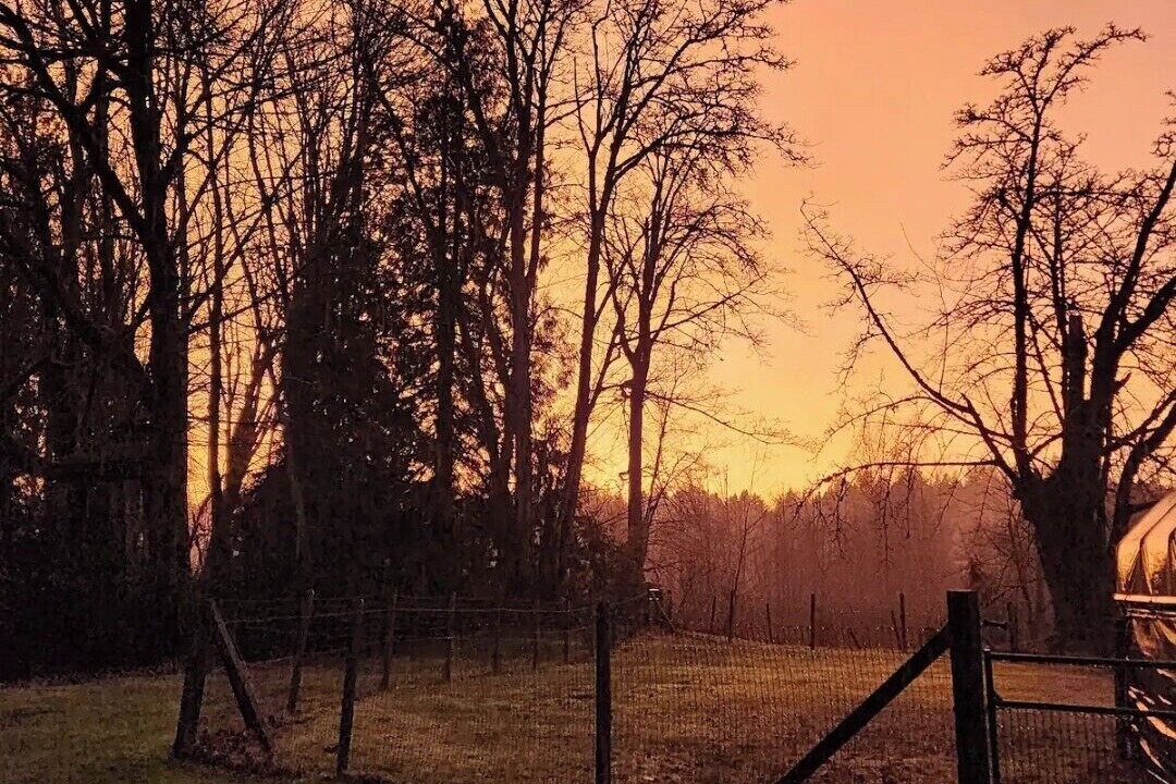 Photo of Others in Sedro-Woolley