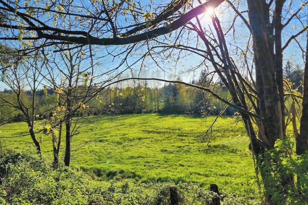 Photo of Others in Sedro-Woolley