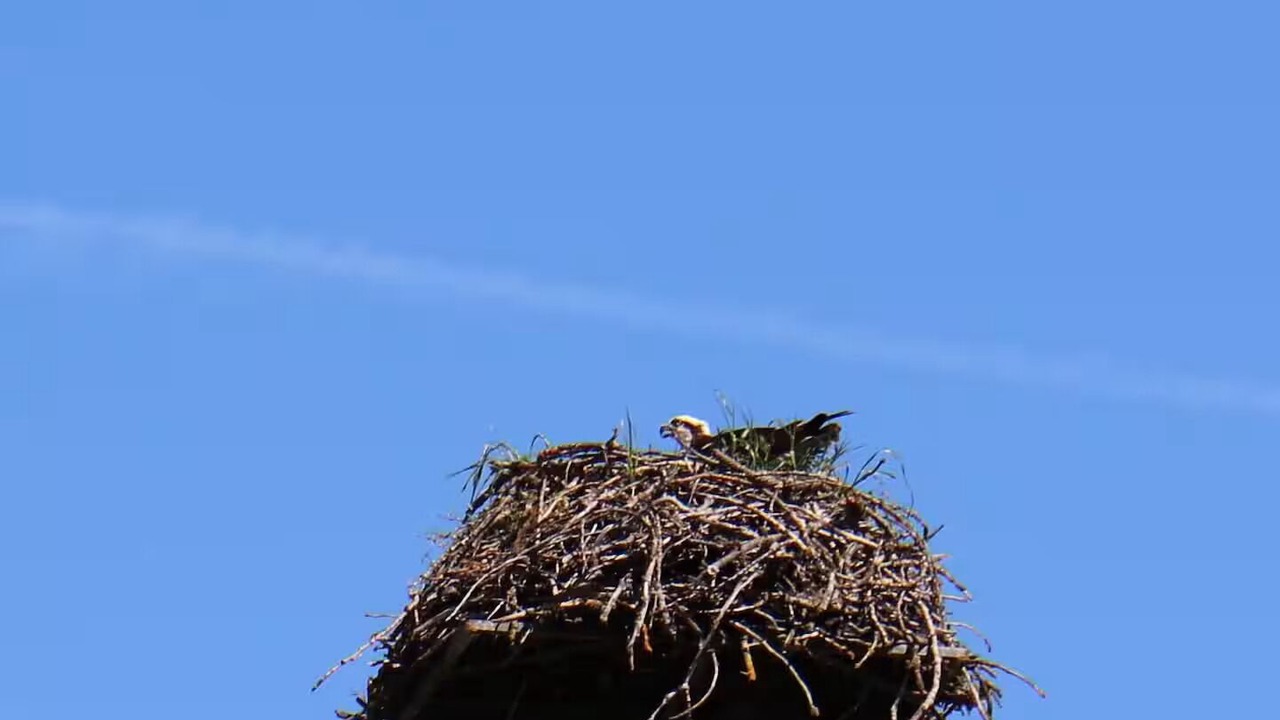 Photo of Others in Gold Hill