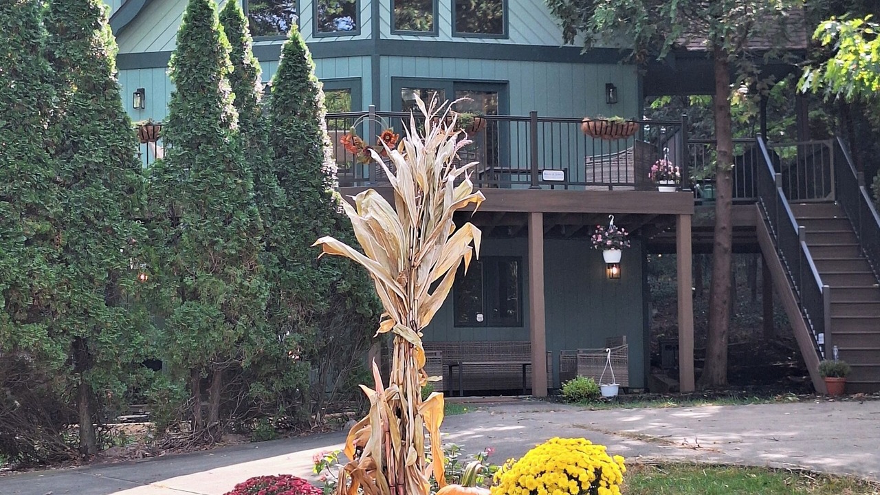 Photo of Outdoor in New Buffalo