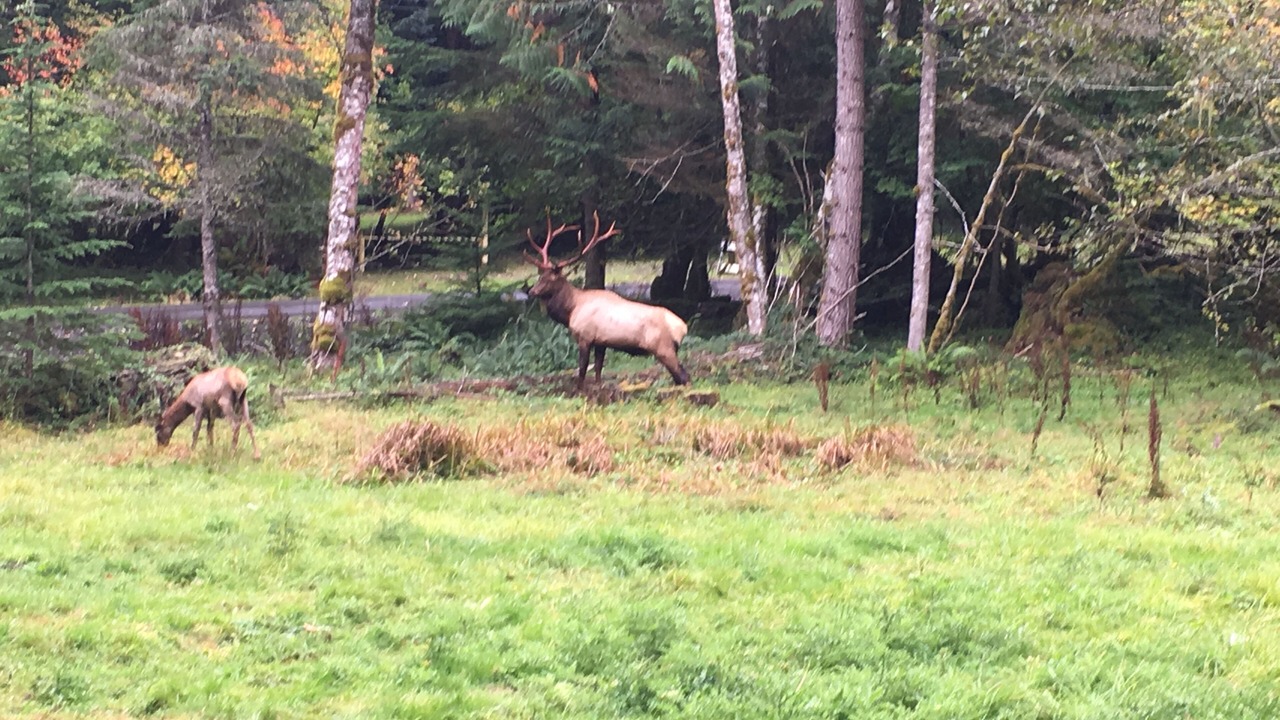Photo of Others in Enumclaw