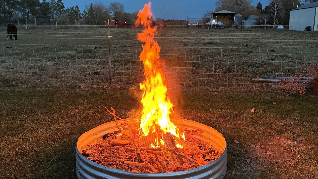 Photo of Outdoor in Moreland