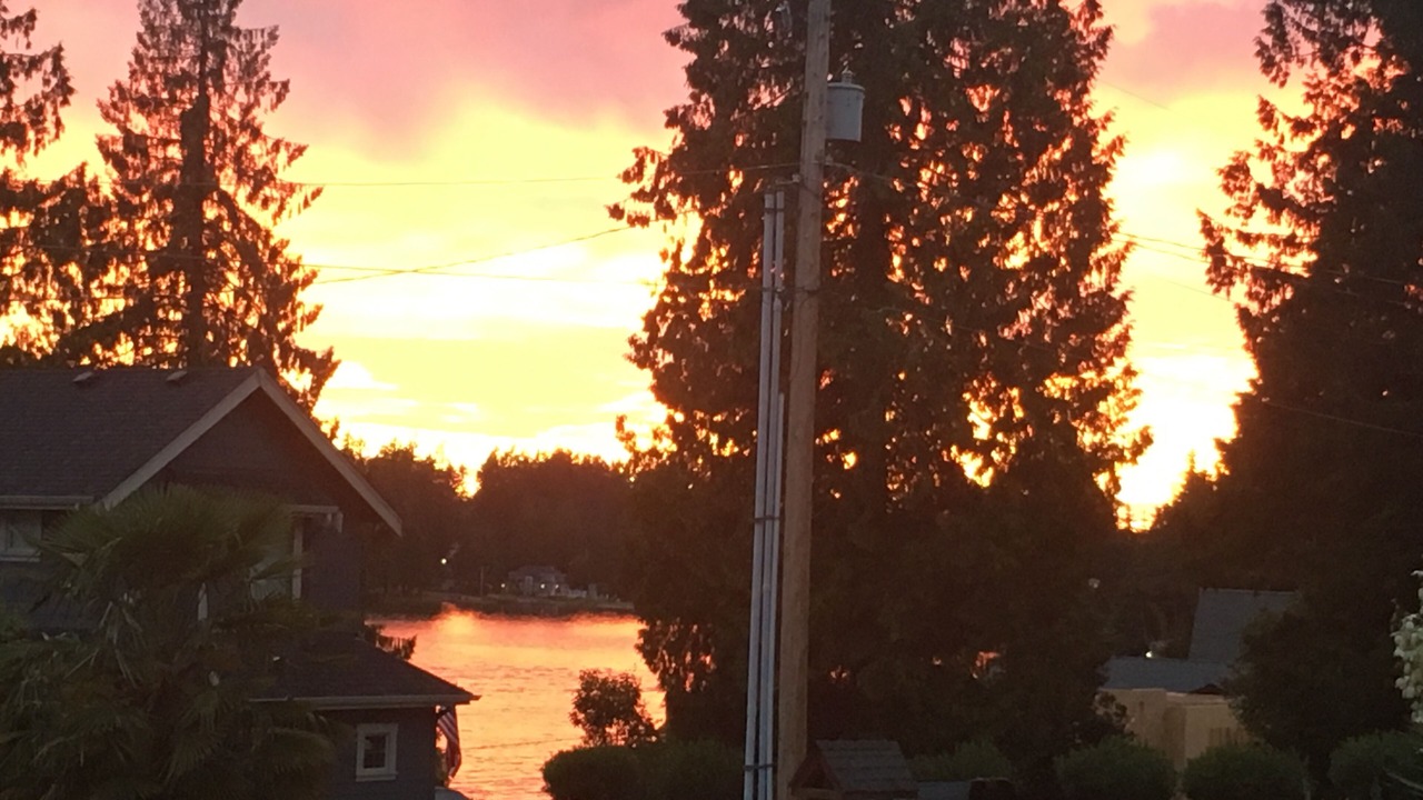 Photo of Others in Bonney Lake