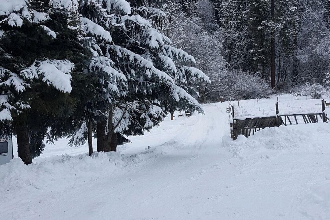 Photo of Others in Colville