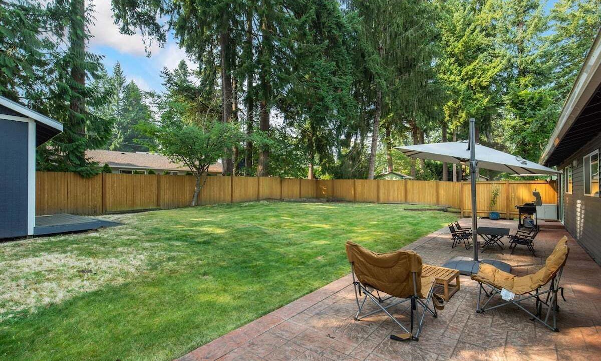 Photo of Outdoor in Grass Lawn