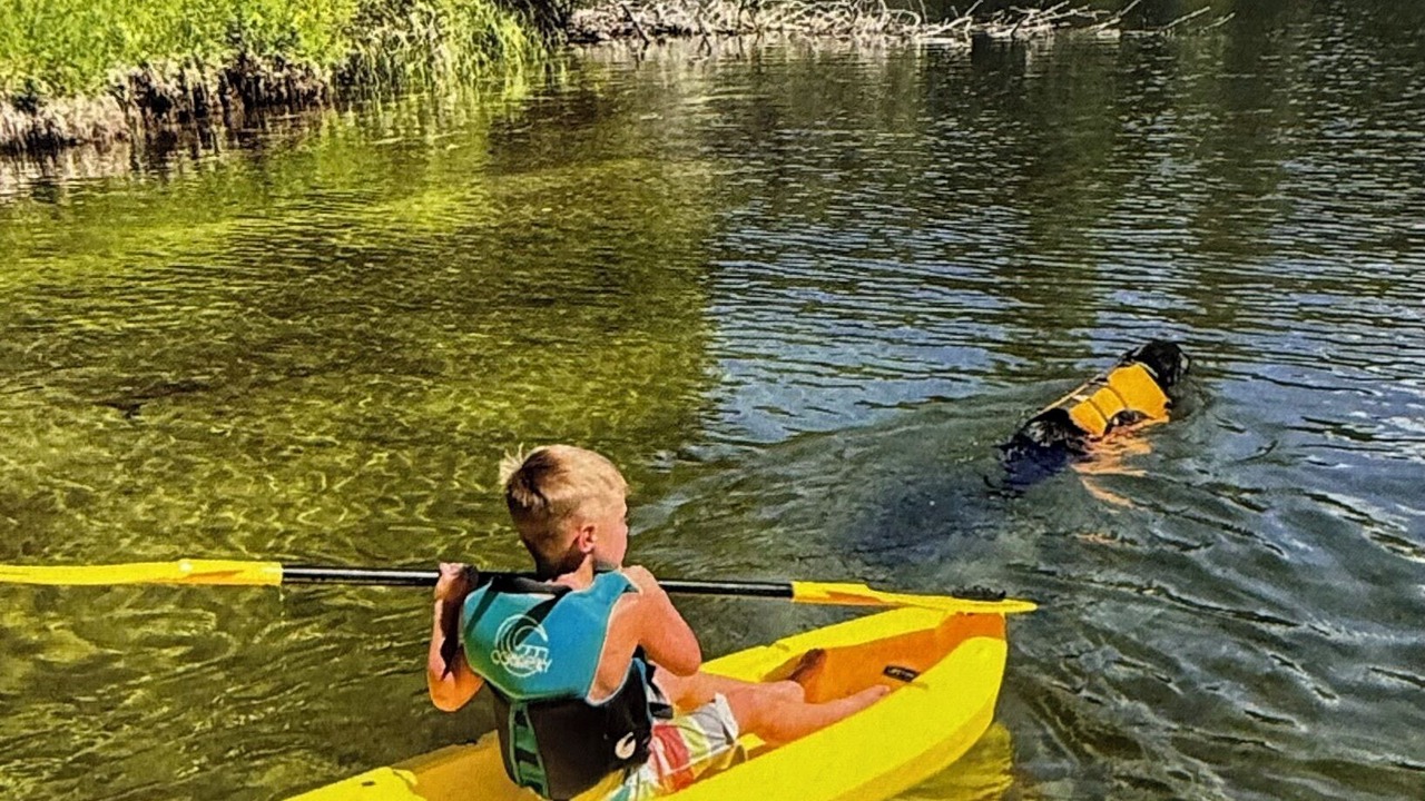 Photo of Others in McCall
