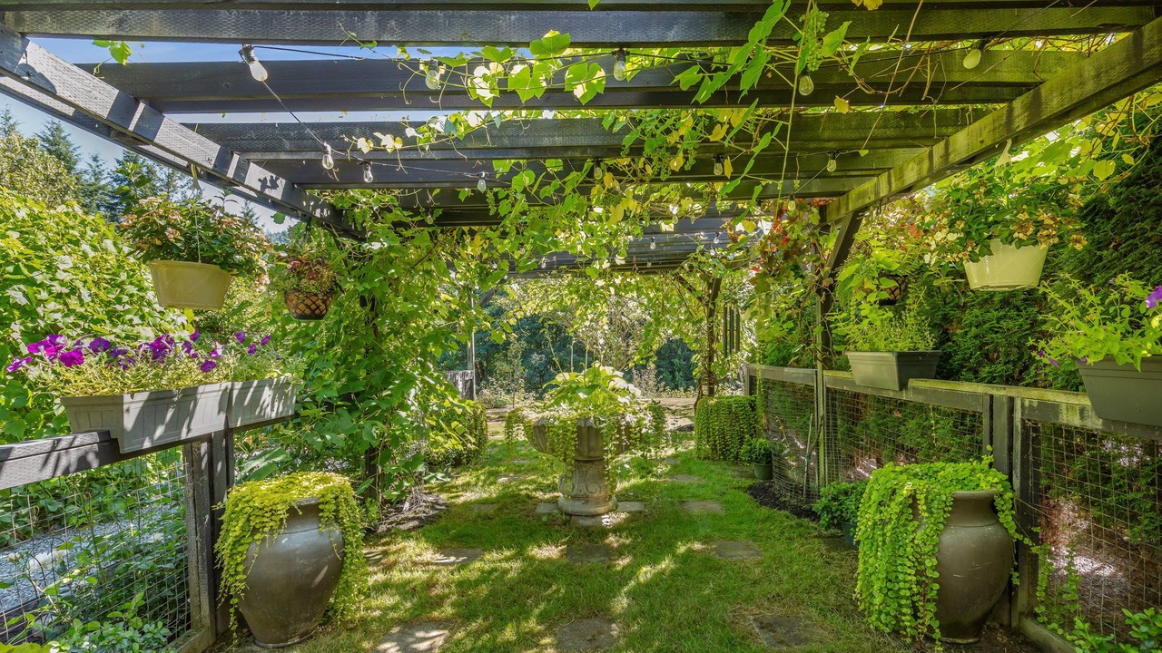 Photo of Outdoor in Mount Vernon