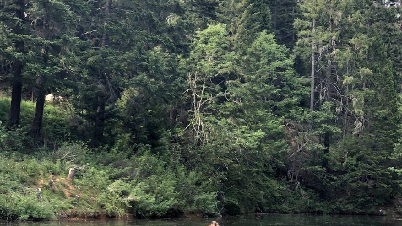 Photo of Others in Leland