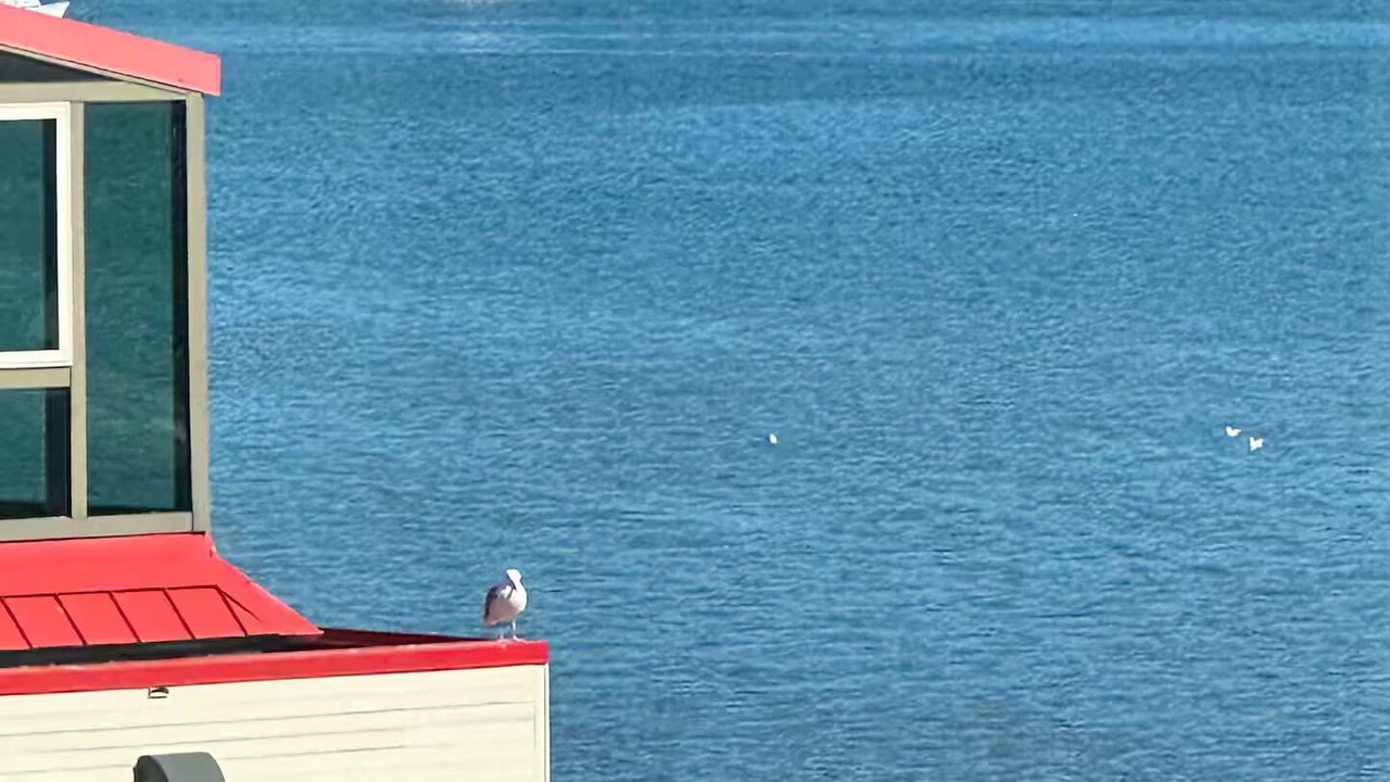 Photo of Others in Oak Harbor