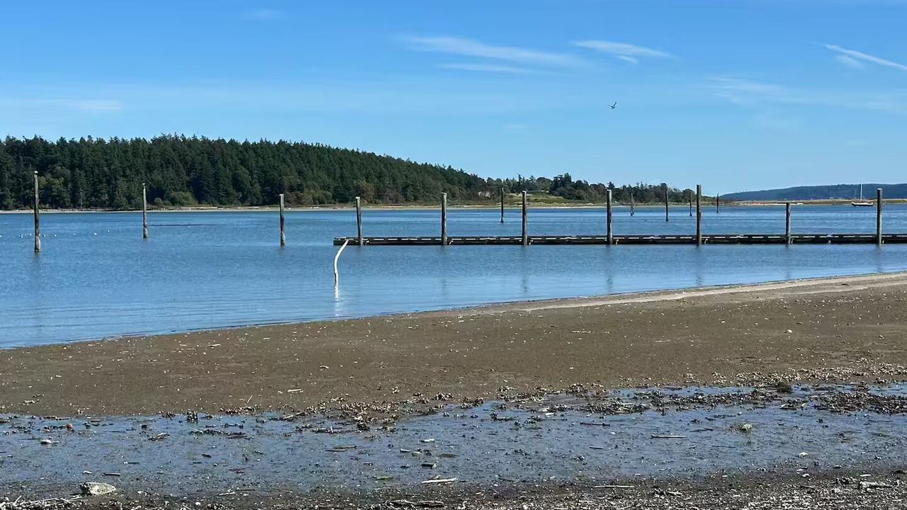 Photo of Others in Oak Harbor