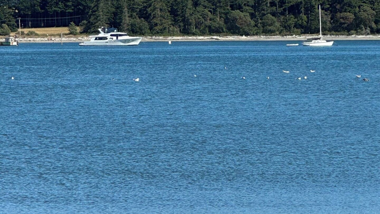 Photo of Others in Oak Harbor
