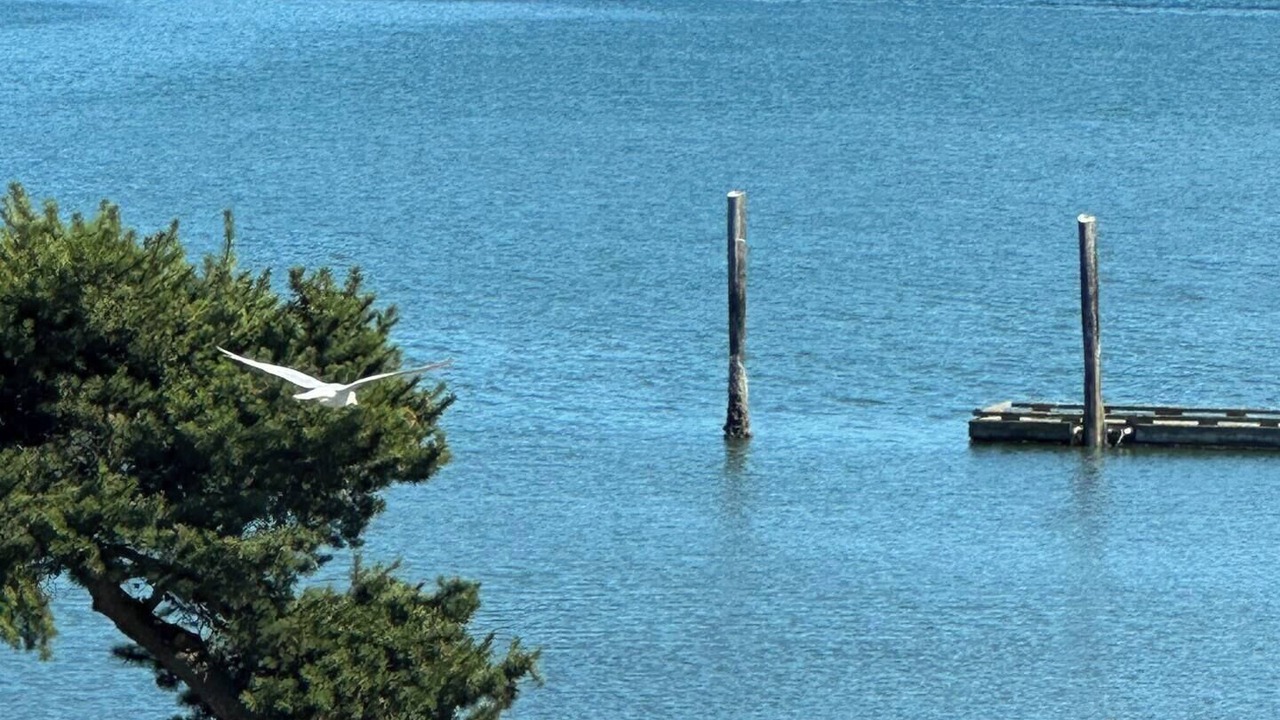 Photo of Others in Oak Harbor