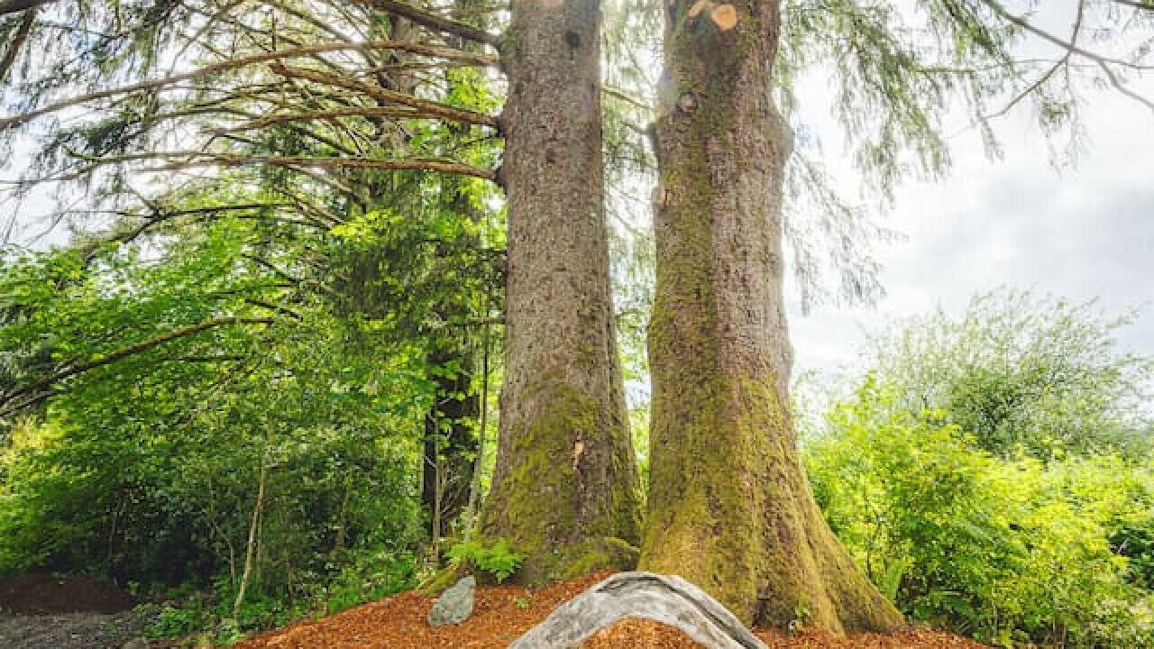 Photo of Others in Beaver
