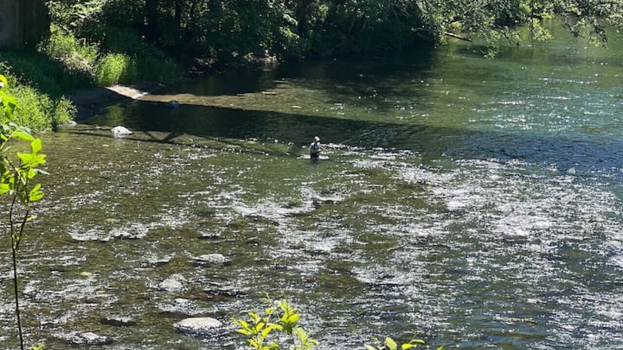 Photo of Others in Beaver