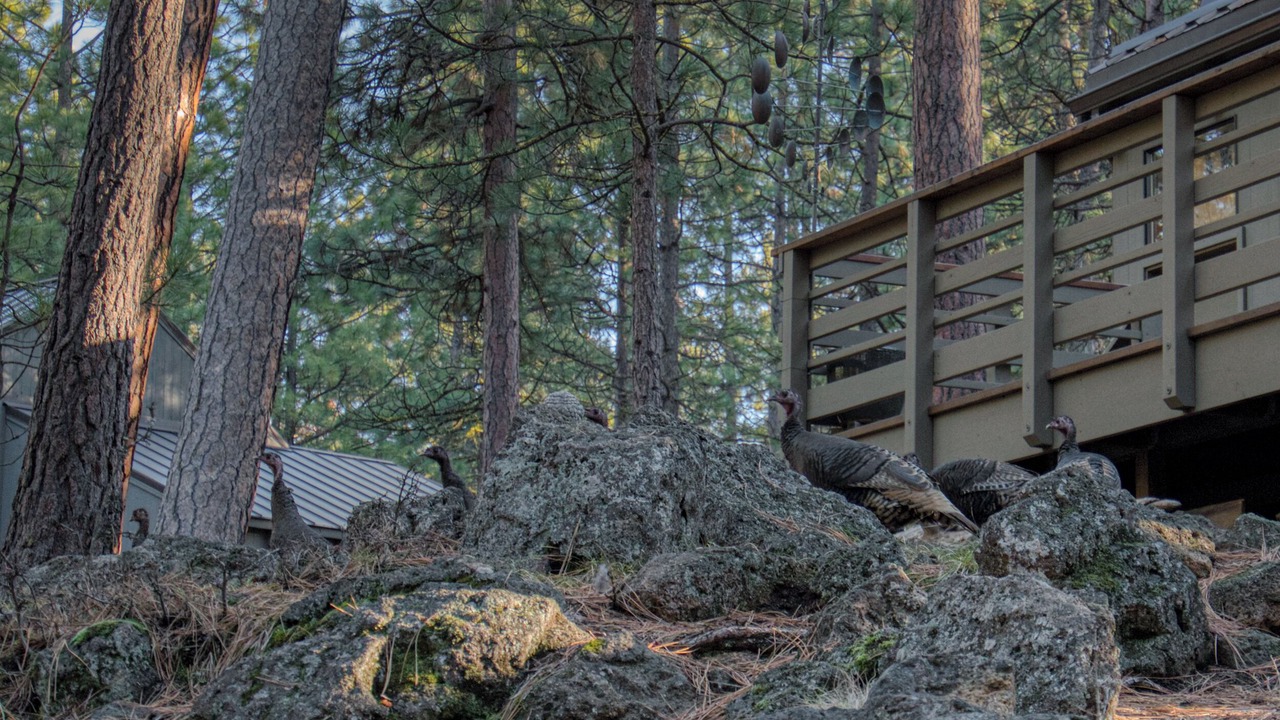 Photo of Others in Black Butte Ranch