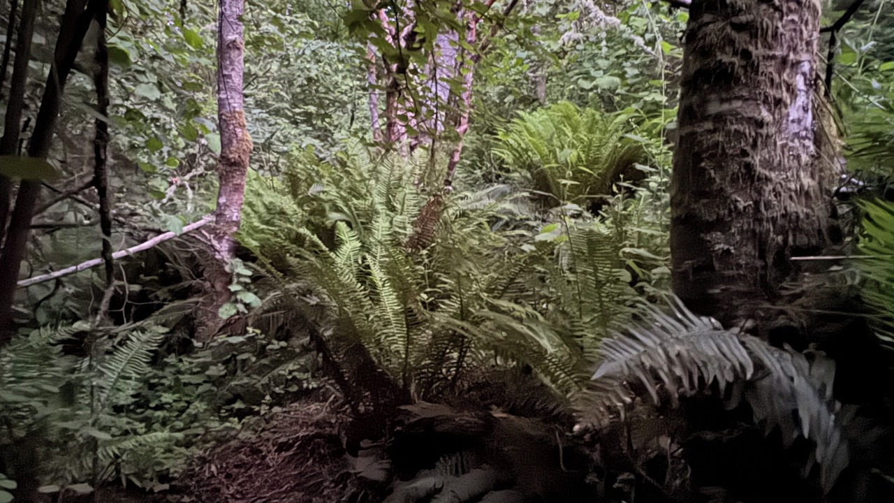 Photo of Others in Vashon Island