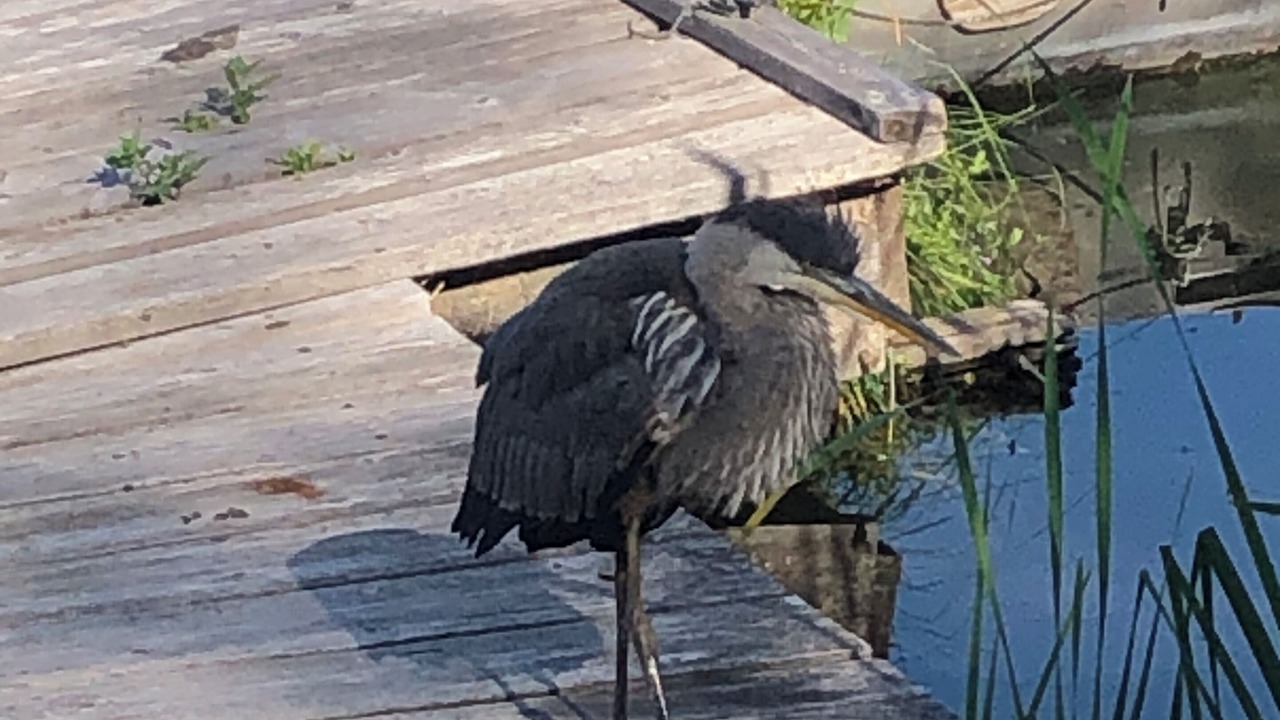 Photo of Others in Valley