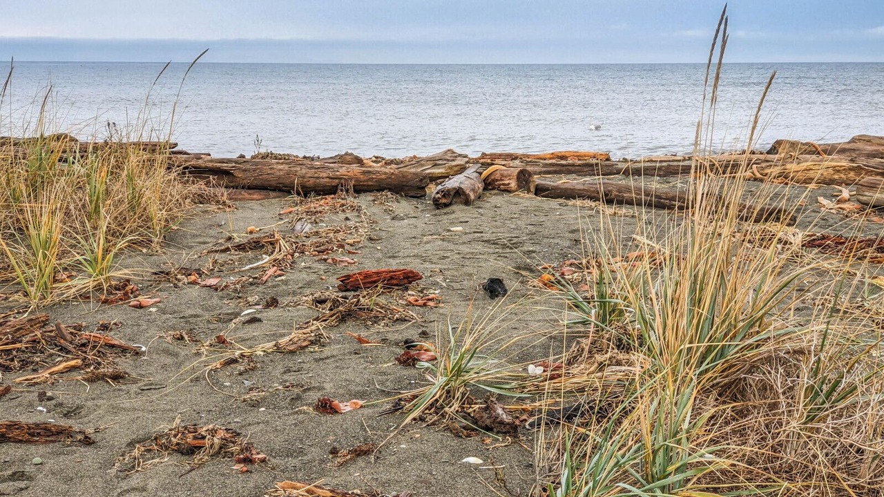 Photo of Others in Sequim