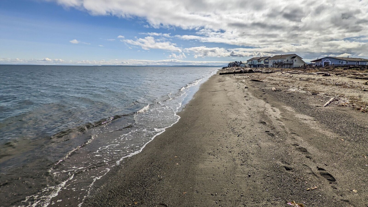 Photo of Others in Sequim
