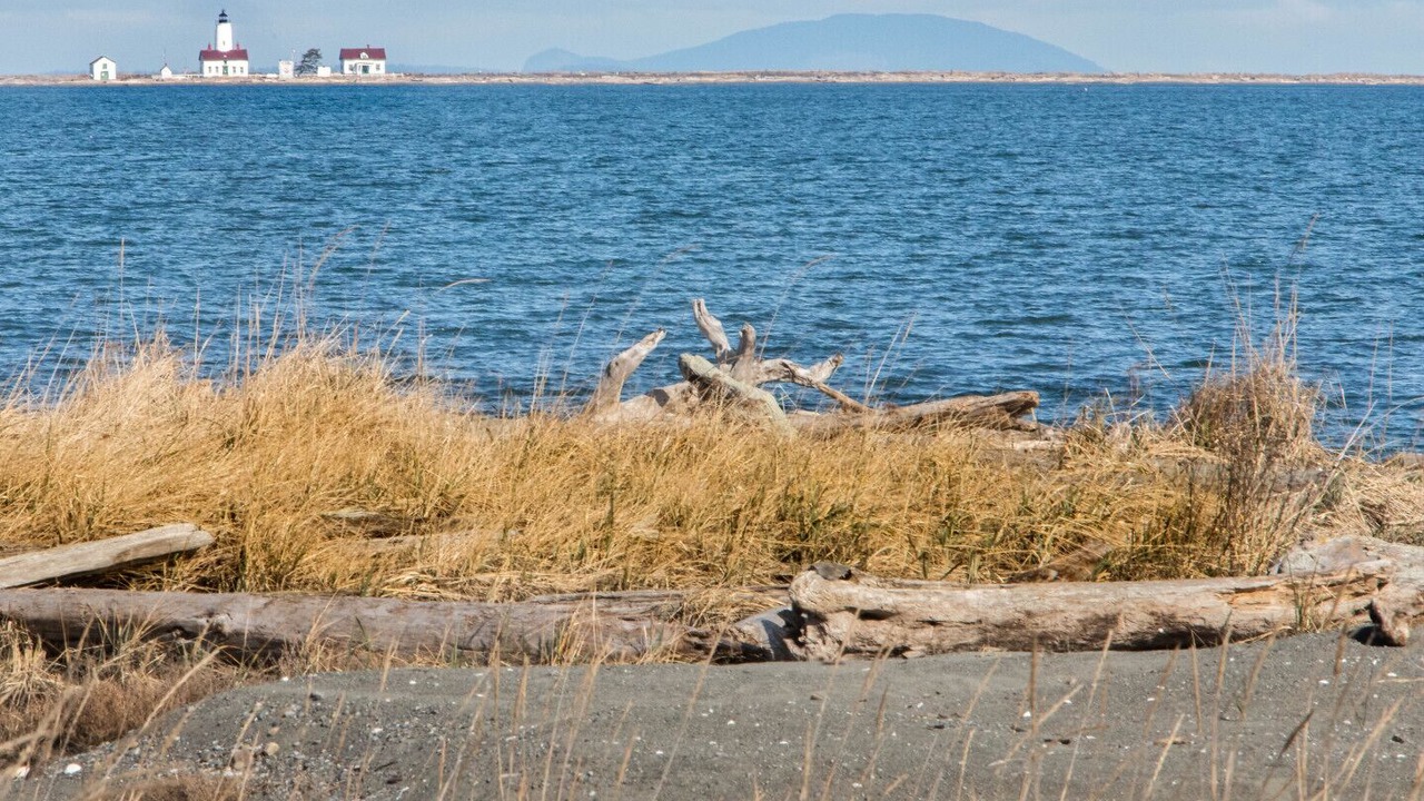 Photo of Others in Sequim