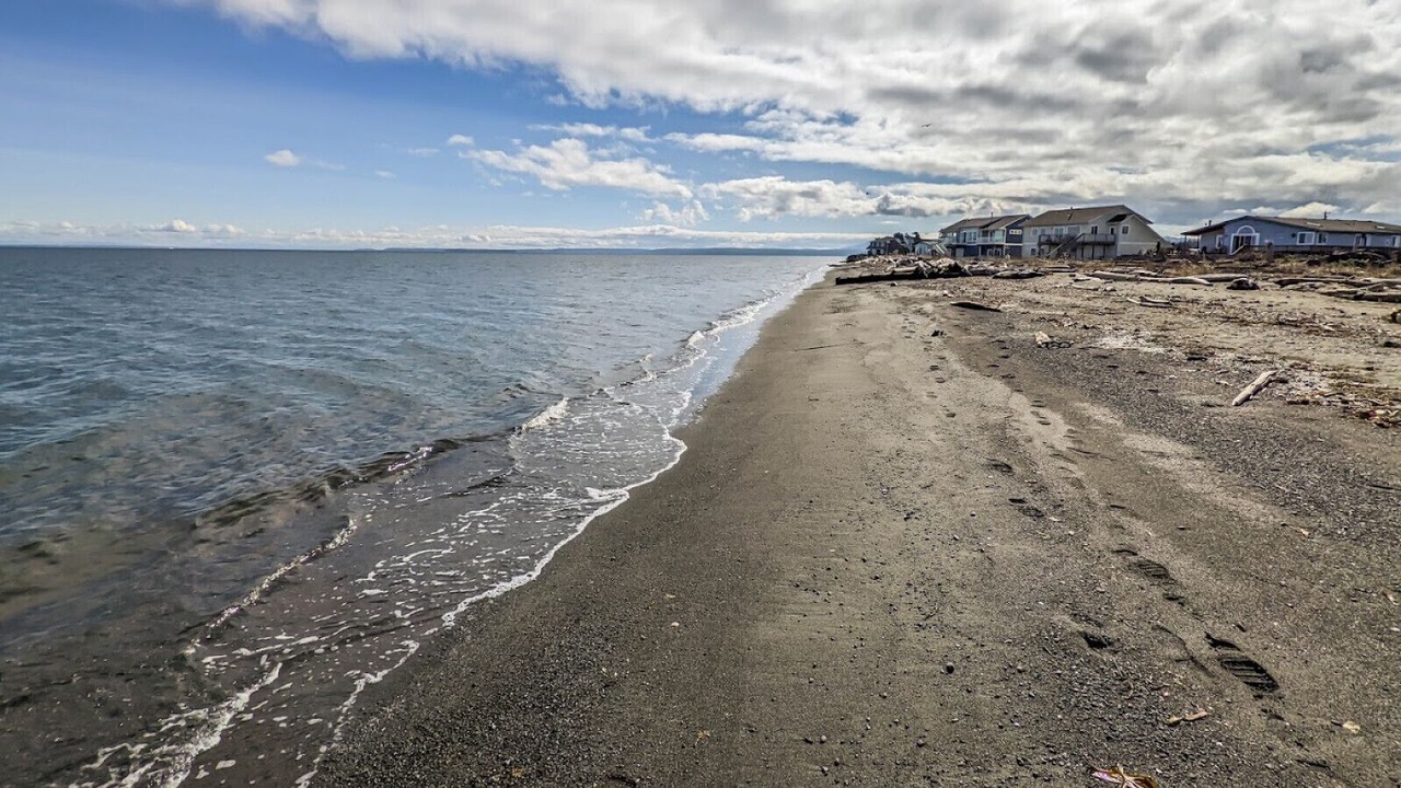 Photo of Others in Sequim