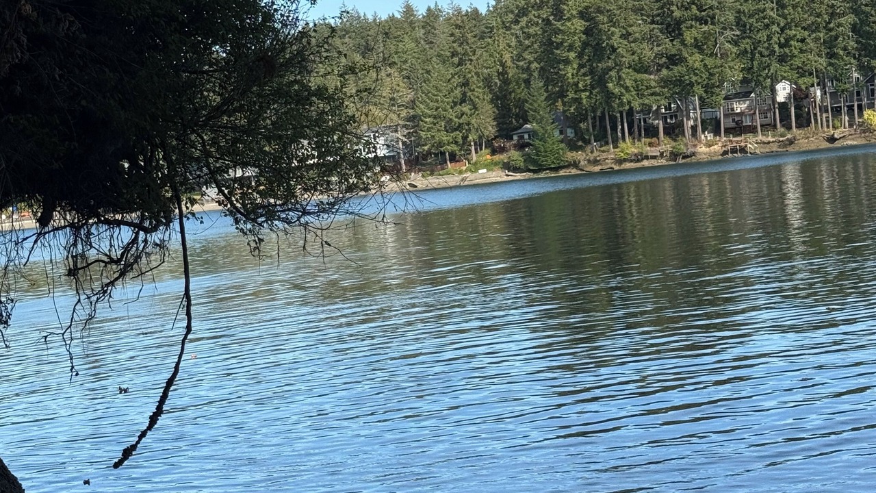 Photo of Others in Shelton