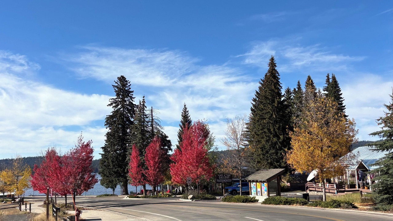 Photo of Others in McCall