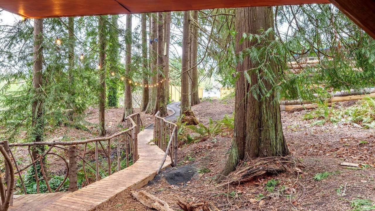 Photo of Outdoor in Bell Hill