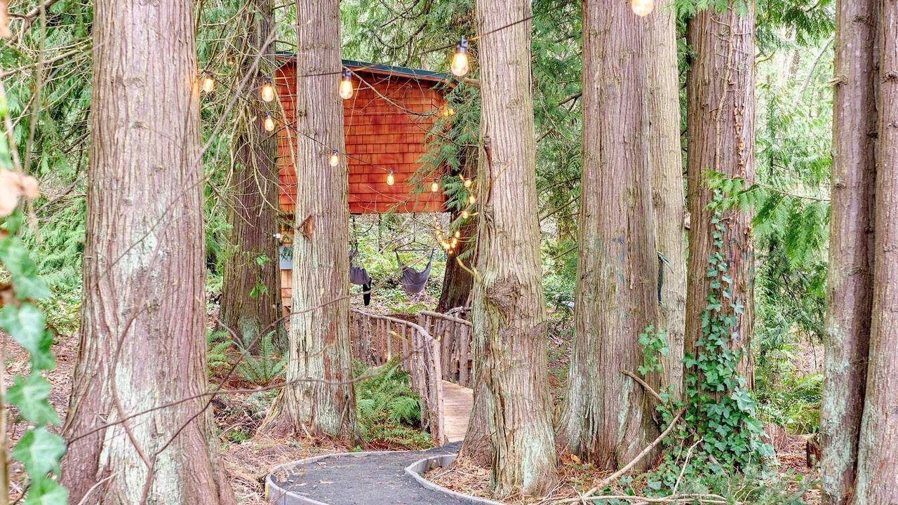 Photo of Outdoor in Bell Hill