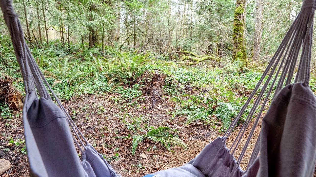 Photo of Outdoor in Bell Hill