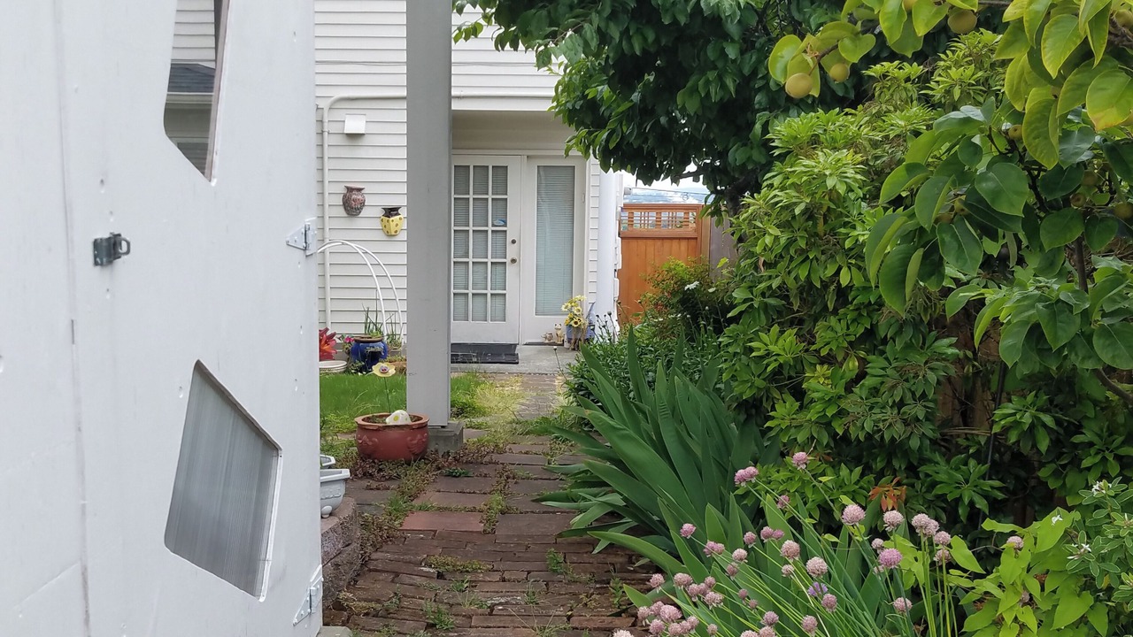 Photo of Outdoor in North Admiral